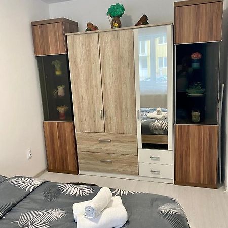Apartament Irina Brašov Exteriér fotografie