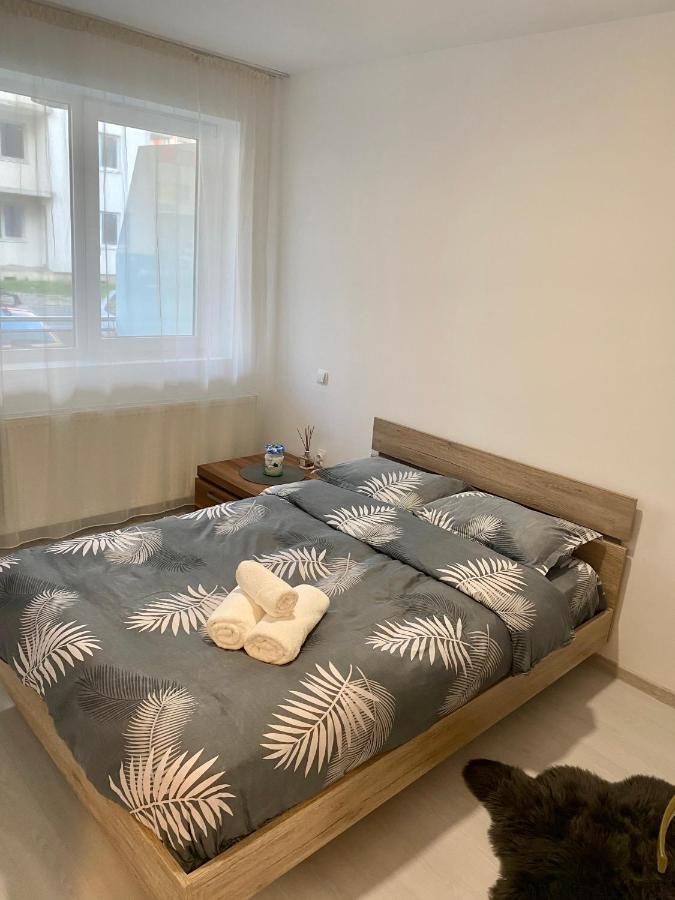 Apartament Irina Brašov Exteriér fotografie