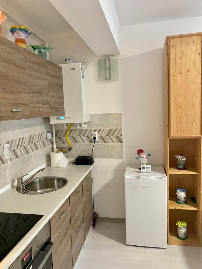Apartament Irina Brašov Exteriér fotografie